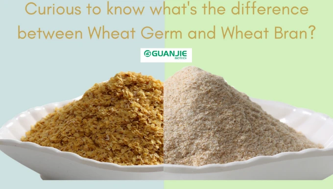 wheat germ and wheat bran wheat germ and wheat bran
