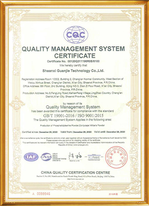 ISO-9001