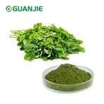 Fulla de Moringa en pols pura
