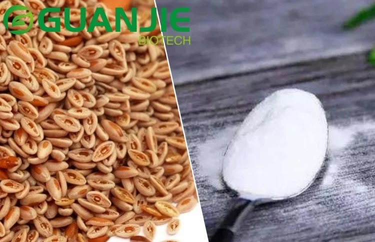 psyllium and inulin psyllium and inulin
