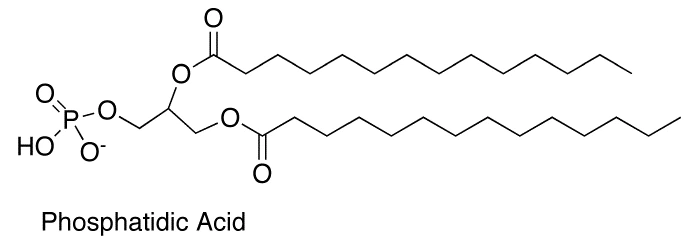 bulk Phosphatidic acid bulk Phosphatidic acid