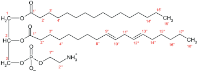 Phosphatidylethanolamine powder Phosphatidylethanolamine powder